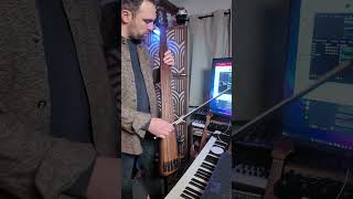 Electric Double Bass Meets Deluxe Bass Big Muff