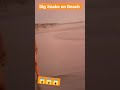 snake on beach #viral #youtube #trending