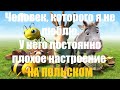 Польский язык. Курс А2. Урок 29 (облегченный)