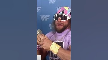 Macho Man - The Cream Rises to the Top