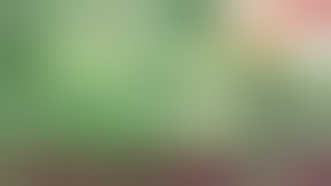 Calmag Too Expensive? Make Your Own! Calmag 2.0