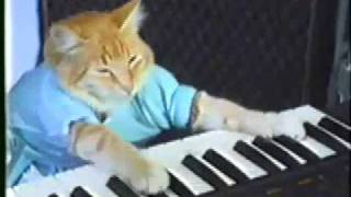 Play the Ogre off, keyboard cat