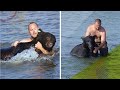 Brave Man Saving Drowning 400 lb Black Bear Is Possibly One Of The Greatest Rescue Stories Ever