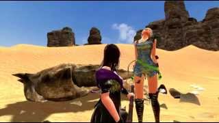 [Vindictus] : Glitch everywhere...