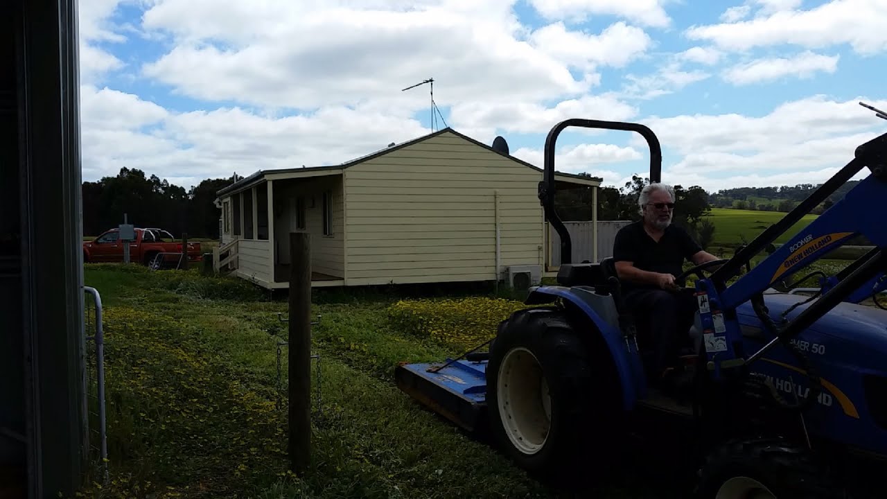 Mowing the capeweed (Cape Daisy or Dandelion)
