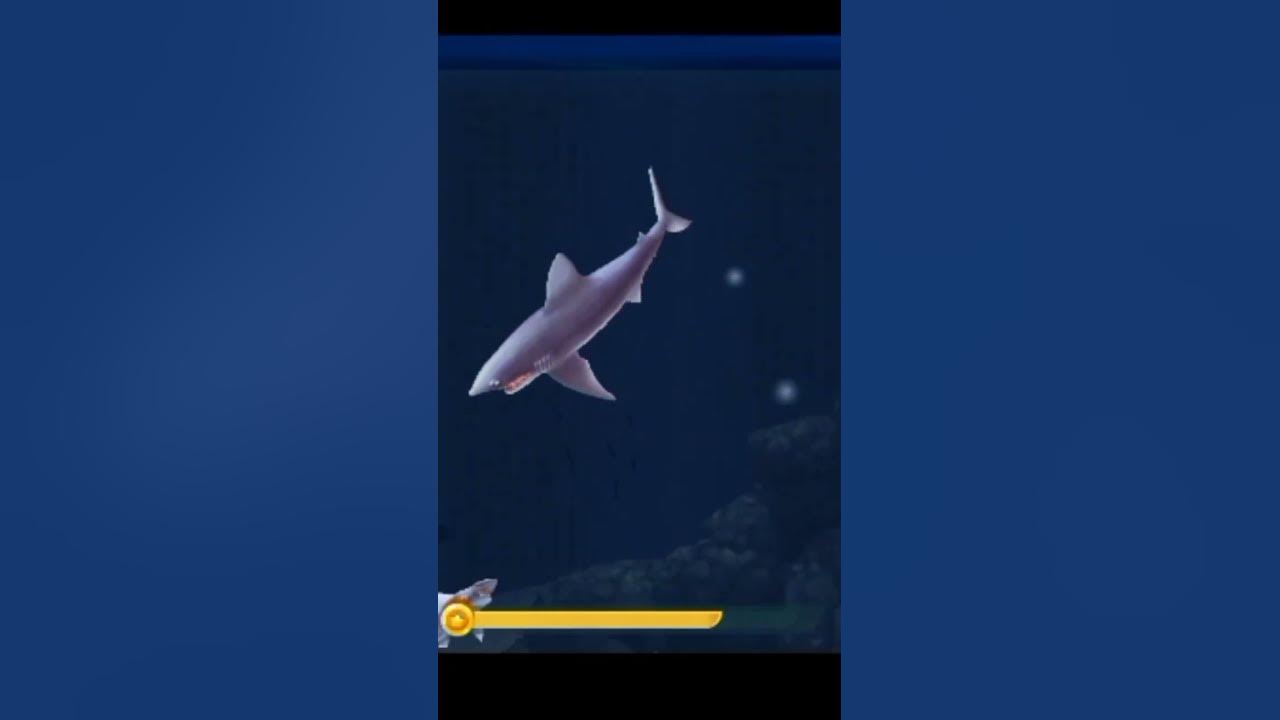 hungry Shark - YouTube