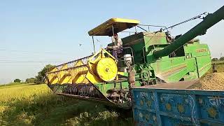 combine harvesting dhaan ki katai