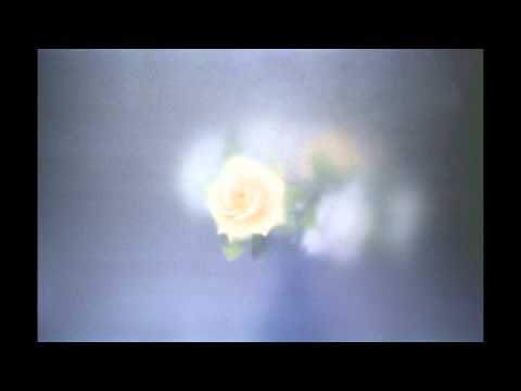 Teen Suicide  - Haunt Me (x3)