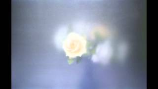 Teen Suicide  - Haunt Me (x3)