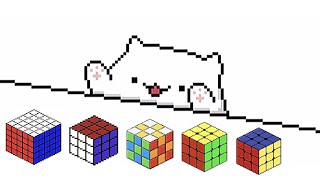 Send This To Your Cuber Friends That Love Cats