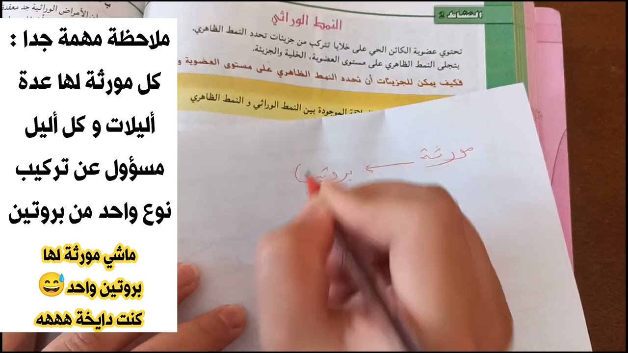 مراجعة رائعة حول نمط ظاهري و الوراثي 👌