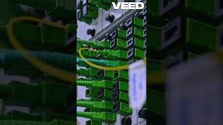 Master VLANs in Cisco Networking Explained