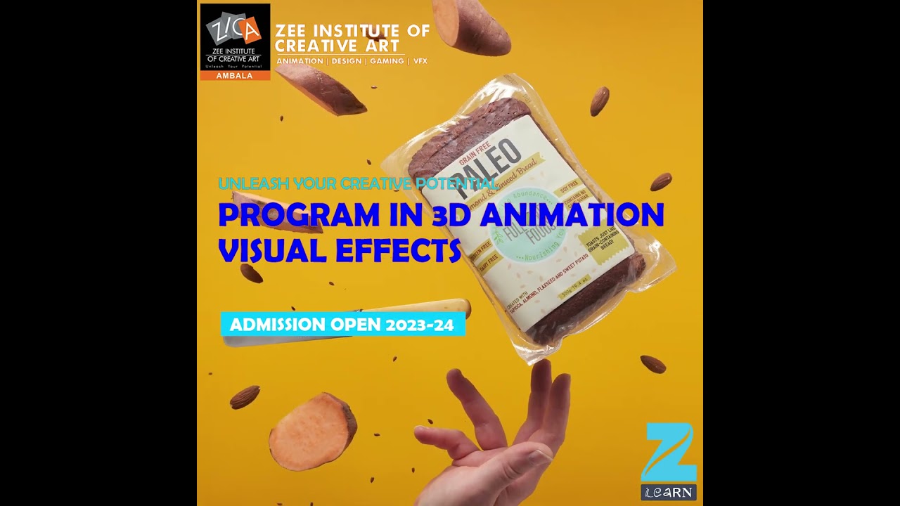 Discover the secrets to achieve your career goals with ( ZICA ) ZEE INSTITUTE OF CREATIVE ART