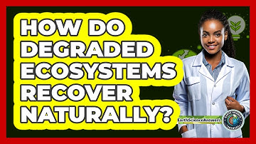 How Do Degraded Ecosystems Recover Naturally? - Earth Science Answers
