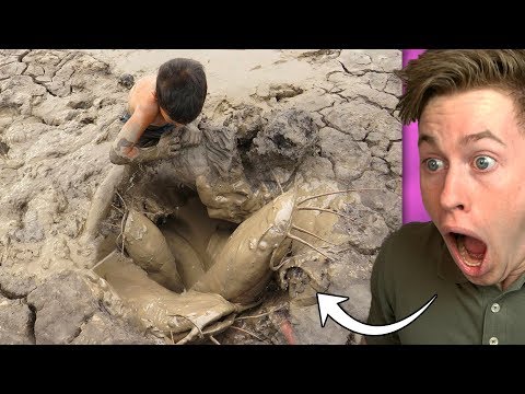 Video: Wie Man Auf Einem Esel Fischt