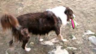 MVI_7358.AVI