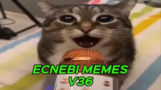 ECNEBI MEMES V36