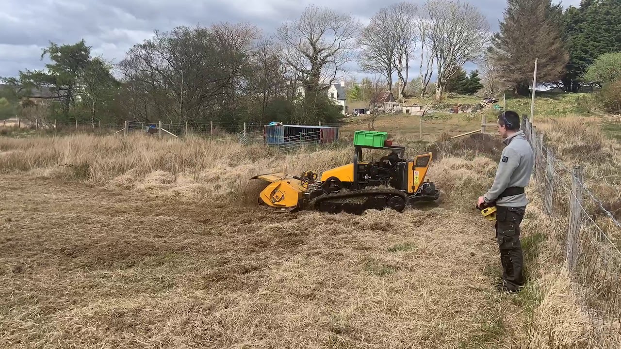 Groundclear - Rushes