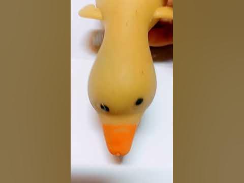fidget duck