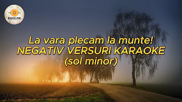 LA VARA PLECAM LA MUNTE SI EU SI NASU! NEGATIV VERSURI KARAOKE (sol minor)