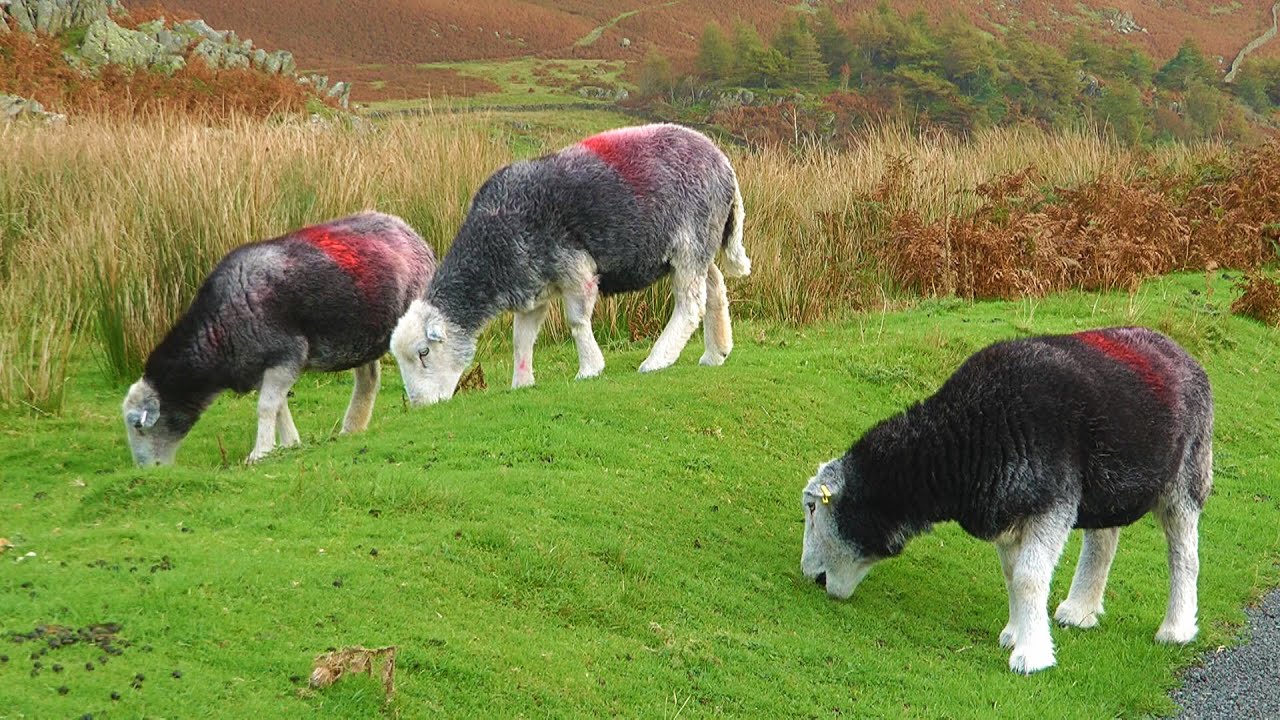 UNITED KINGDOM Wrynose pass & Langdale, Lake District (27 Sep 2016)