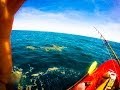 Lone Man Gets Towed For Miles in Kayak By 11 Foot Hammerhead Shark (Video)
