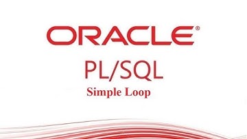PL/SQL Simple Loop in Oracle Database
