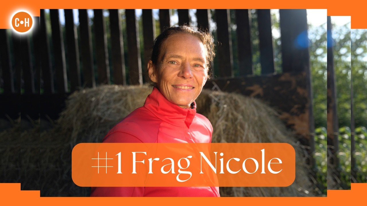 Eure Fragen – meine ehrlichen Antworten (Teil 1)