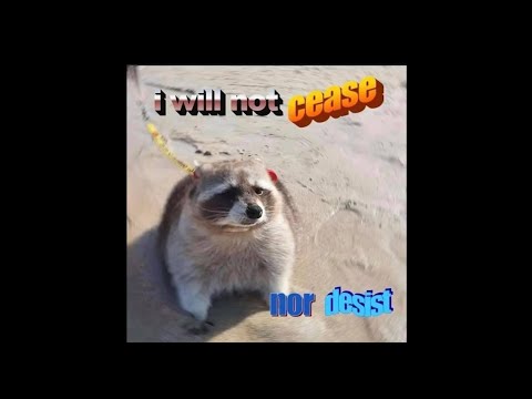 MrBeast Slander by DogPack404 (cease and desist response)