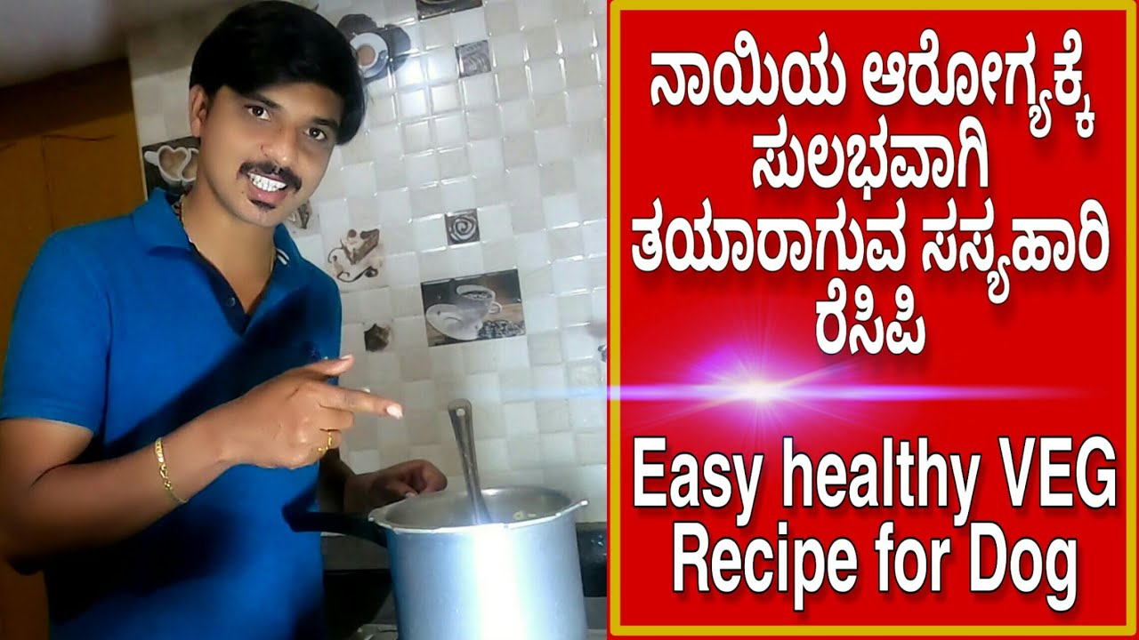 Easy & Healthy Veg Homemade Recipe for Dogs| Dog veg food recipe for beginners|Dog food diet Kannada
