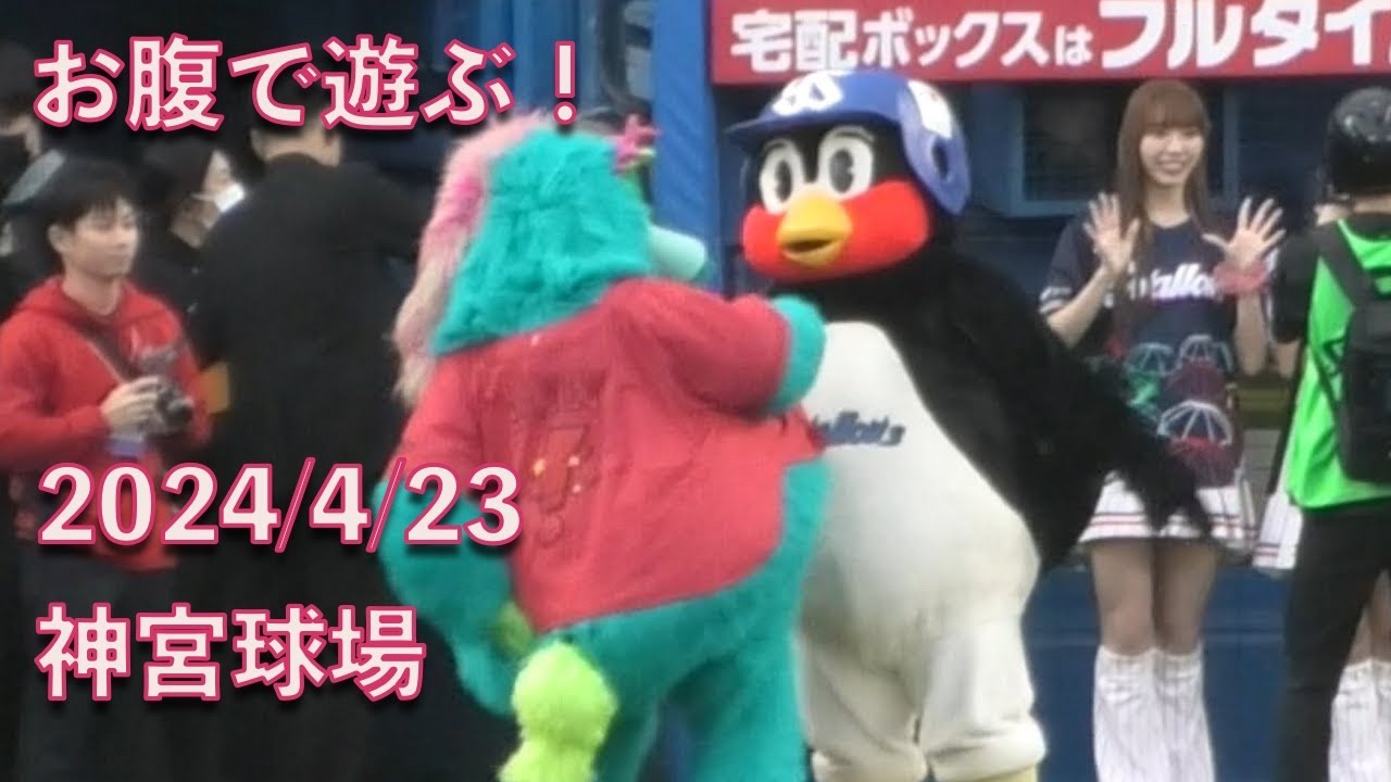 つば九郎、スライリーのお腹で遊ぶ！2024/4/23 - YouTube