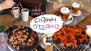 서로로 다이어리 대구 여행 커피플라자 데우스커피 걸리버막창 온달포장 먹부림
