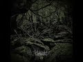 Salqiu - Lost (EP STREAM)