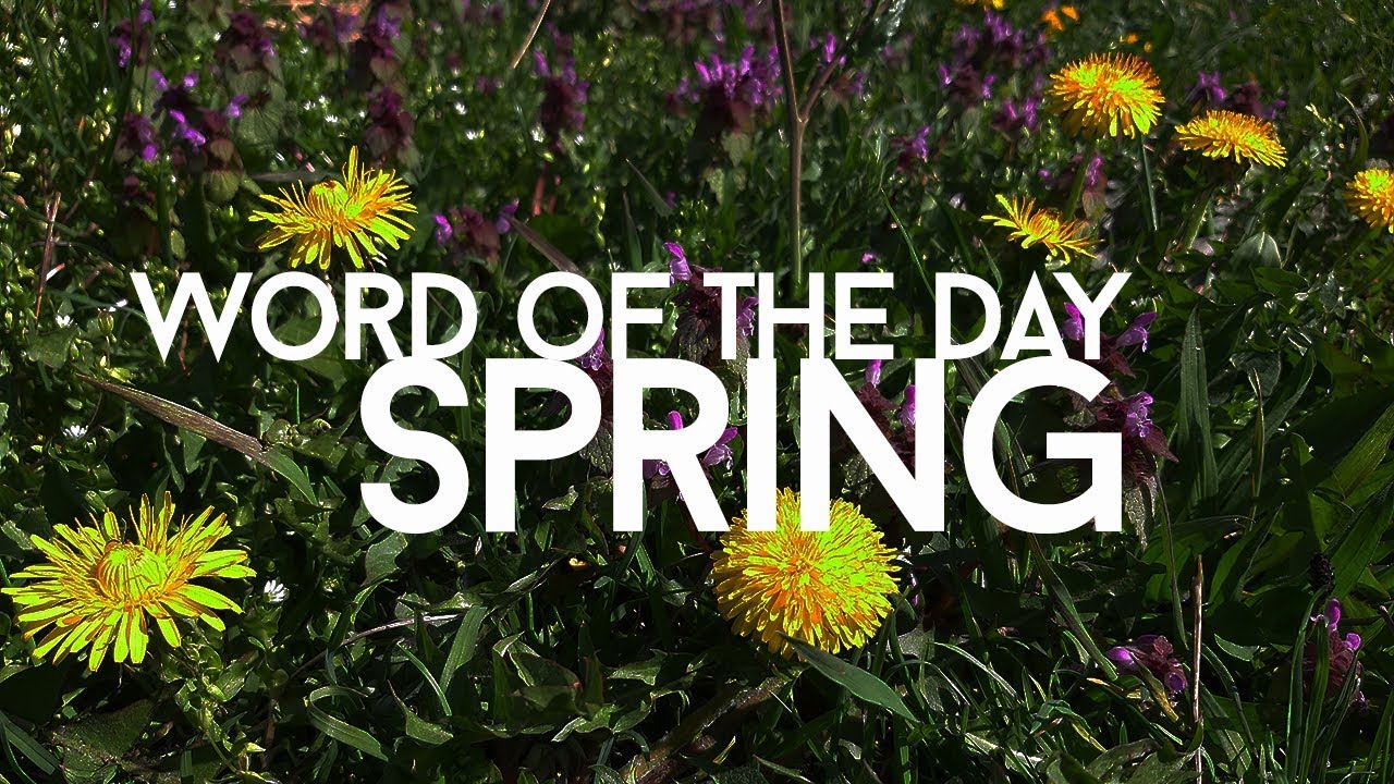 Word of the Day: SPRING