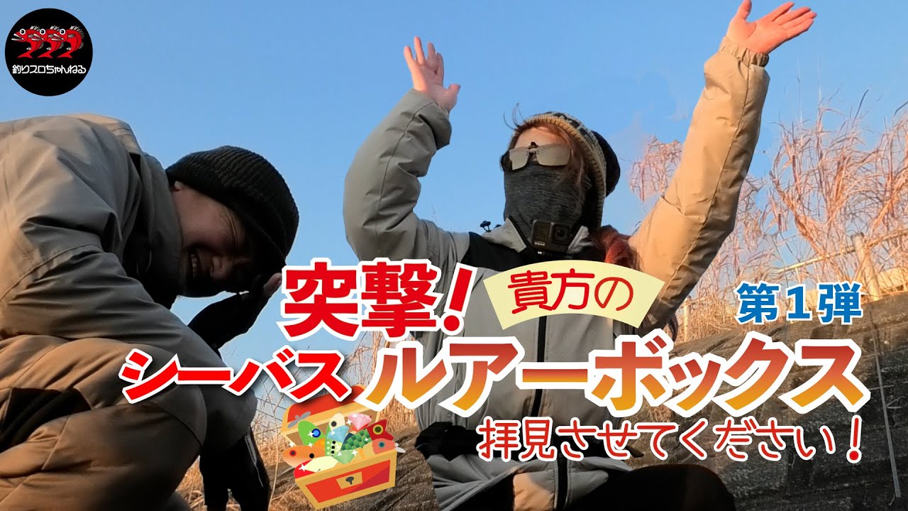 【釣り】突撃！貴方のシーバスルアーボックス拝見させてください！