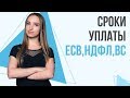 Какие сроки уплаты ЕСВ, НДФЛ и ВС по заработной плате нужно соблюдать? | Штрафы за нарушения сроков