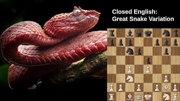 Fighting the Great Snake Variation | The English Opening |