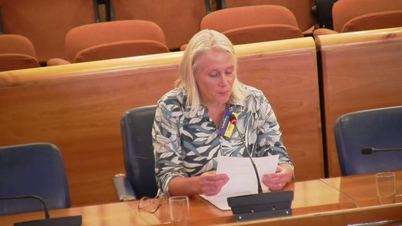 waverley-borough-council-eastern-planning-meeting-10-july-2019-youtube