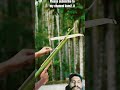 बम्बू का तीर #ytshorts #shortsfeed #shorts
