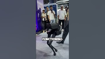 Impossible-To-Push Robot Demonstration And How It Works