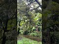 Tại sao mô hình HTX Phụ nữ là tương lai của Nông nghiệp? 💡🌿