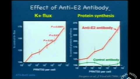 Virus Clearance: It Isn