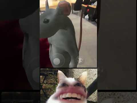    224   