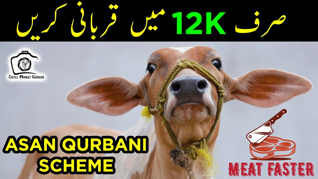 ASAN QURBANI SCHEME Book Your Qurbani with Meat Faster & Get Meat at