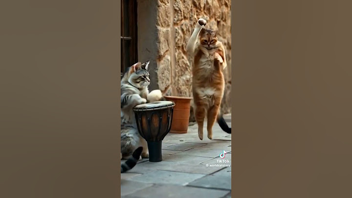 💥웃는날 ㅋㅋㅋㅋㅋ🤣😆😁🤭#춤추는고양이 #고양이채널#재미있는영상#고양이웃긴영상#웃긴동영상 #치치코코스토라#고양이웃긴영상 #개웃긴영상 #인기급상승동영상