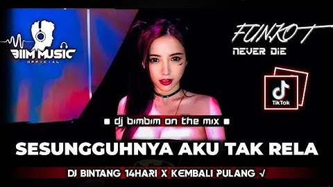 DJ SESUNGGUHNYA AKU TAK RELA MELIHAT KAU DENGANNYA DJ BINTANG 14 HARI