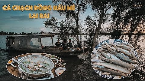Cuộc sống săn bắt mùa nước nổi 2024 - Tập 11 | Gấc Quê