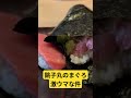 【銚子丸】マグロの握りがとんでもない旨さ #shorts #short #銚子丸 #グルメ #寿司 #マグロ