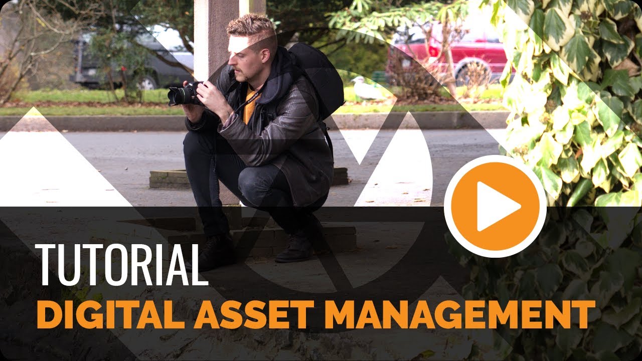  New  Digital Asset Management - Tutorial