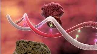 DNA Mutation 3D Animation